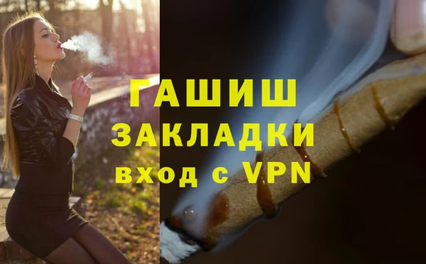 хмурый Алексин