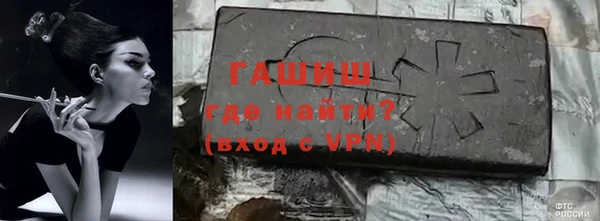 хмурый Алексин