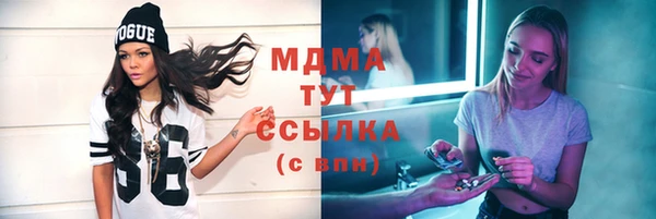 хмурый Алексин