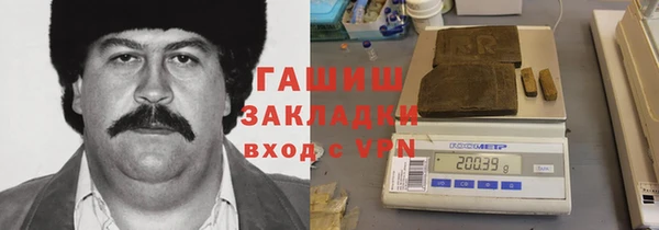 хмурый Алексин